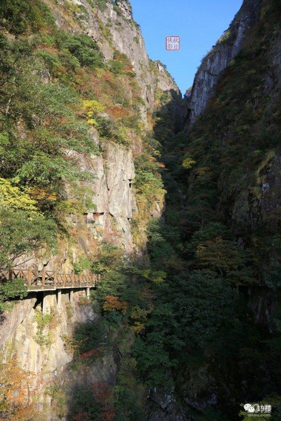 石家庄农特优品·公益海报丨无极县蝴蝶兰为乡村振兴增色